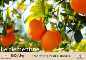 Le Clementine di Calabria IGP